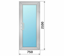 Одностворчатая стеклянная дверь 750x2100